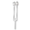 Tuning Fork
