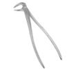 Extraction Forcep