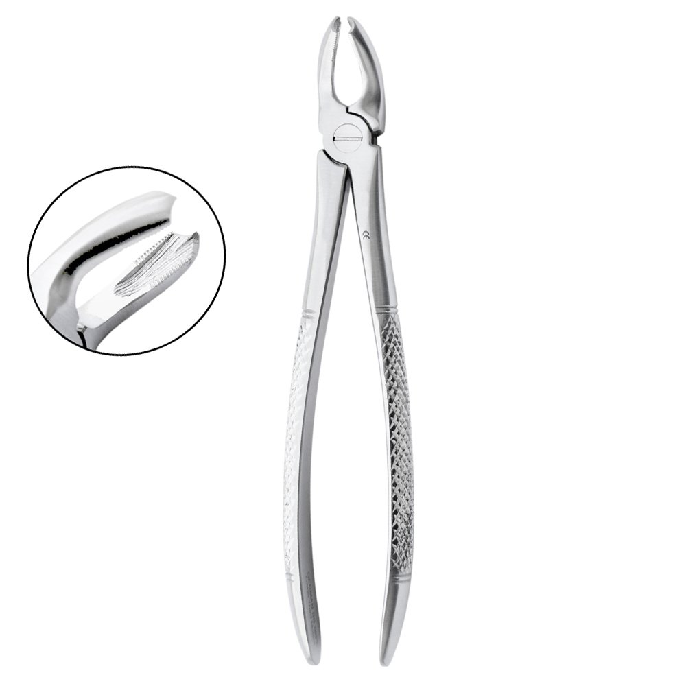 Extraction Forcep