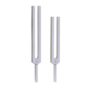 Tuning Fork 
